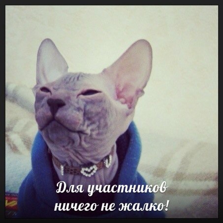 �� ����� 1..jpg